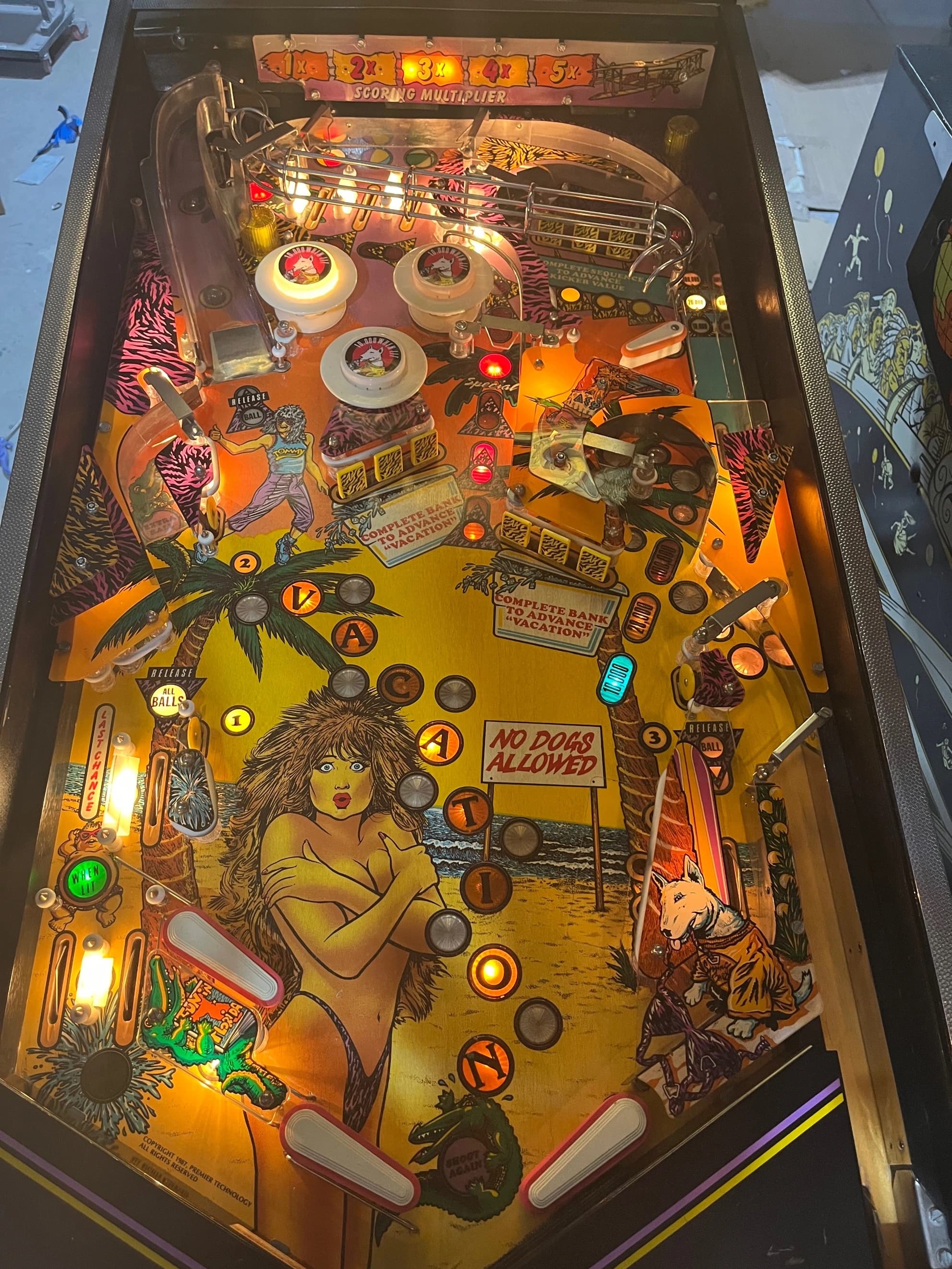 Spring Break - photo 6