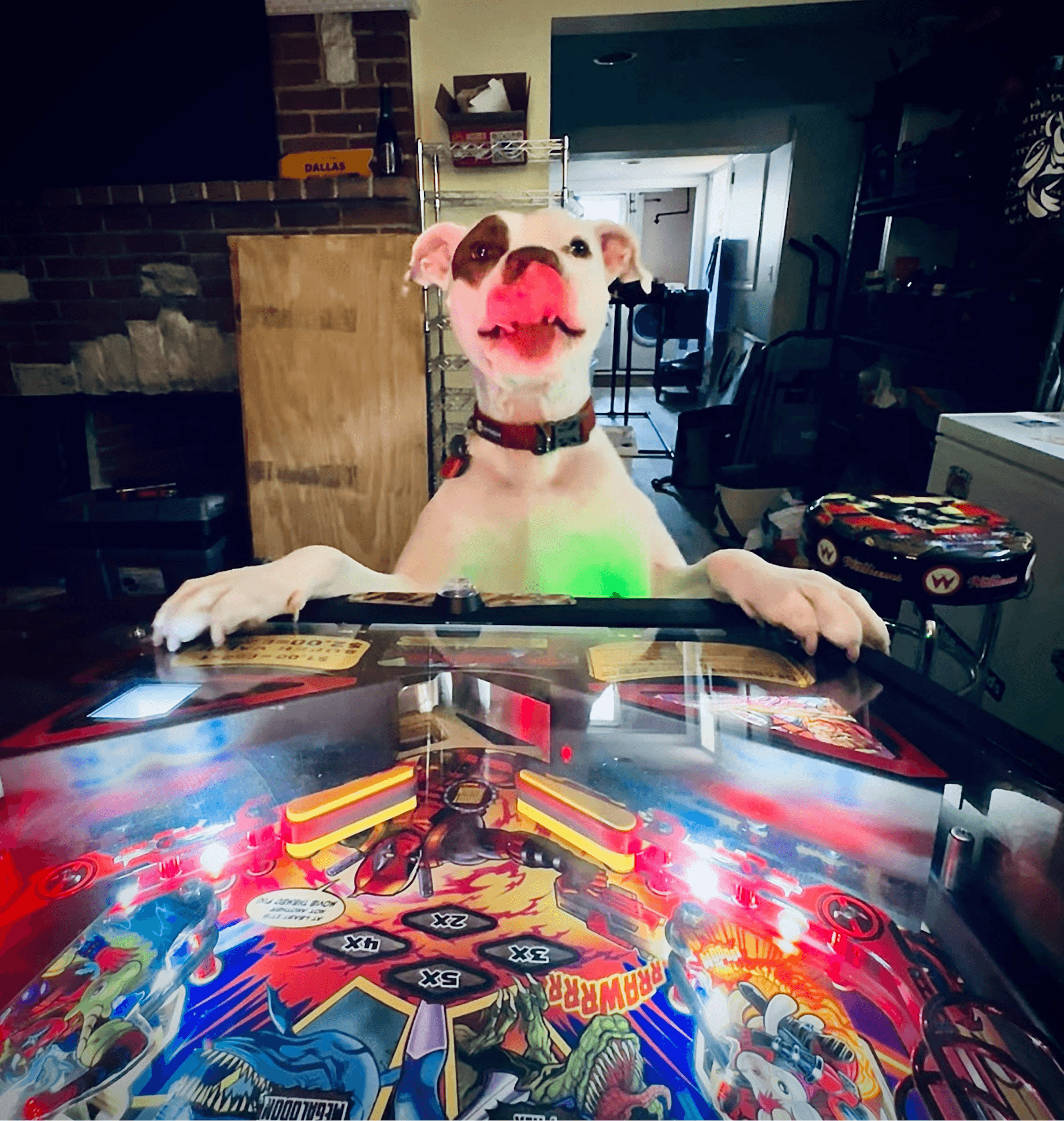 Excited dog playing pinball machine with colorful lights and playful expression