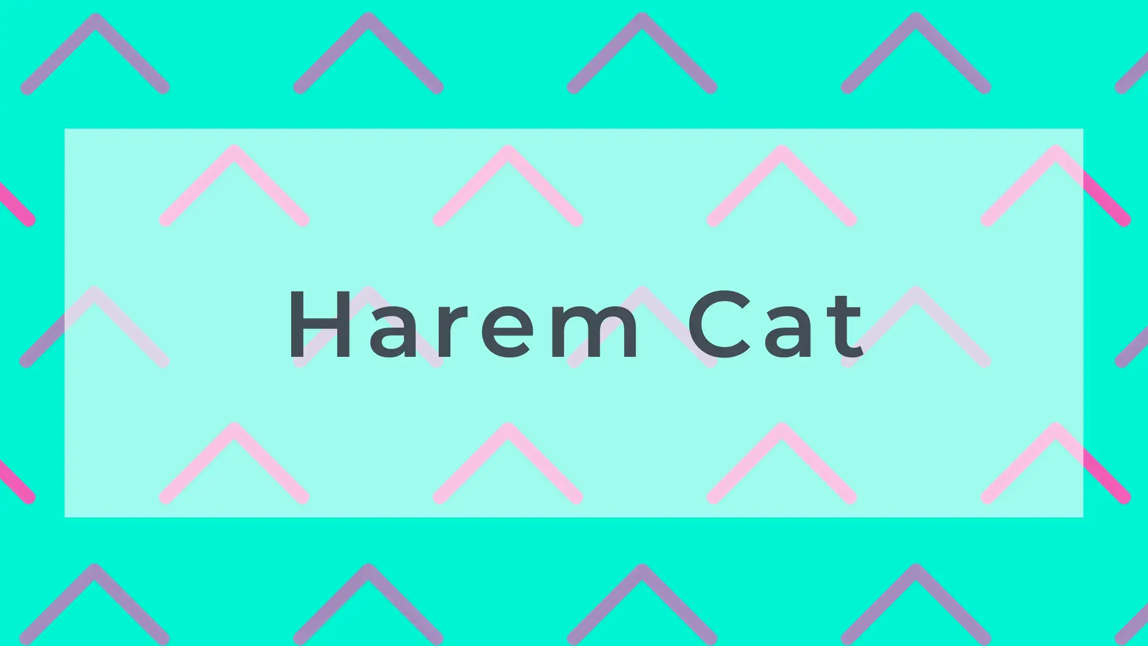 Harem Cat
