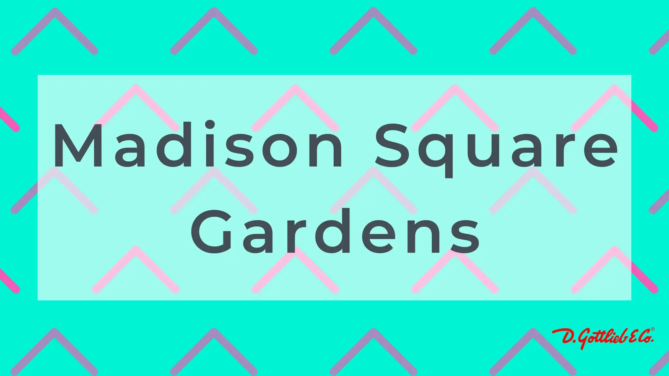 Madison Square Gardens