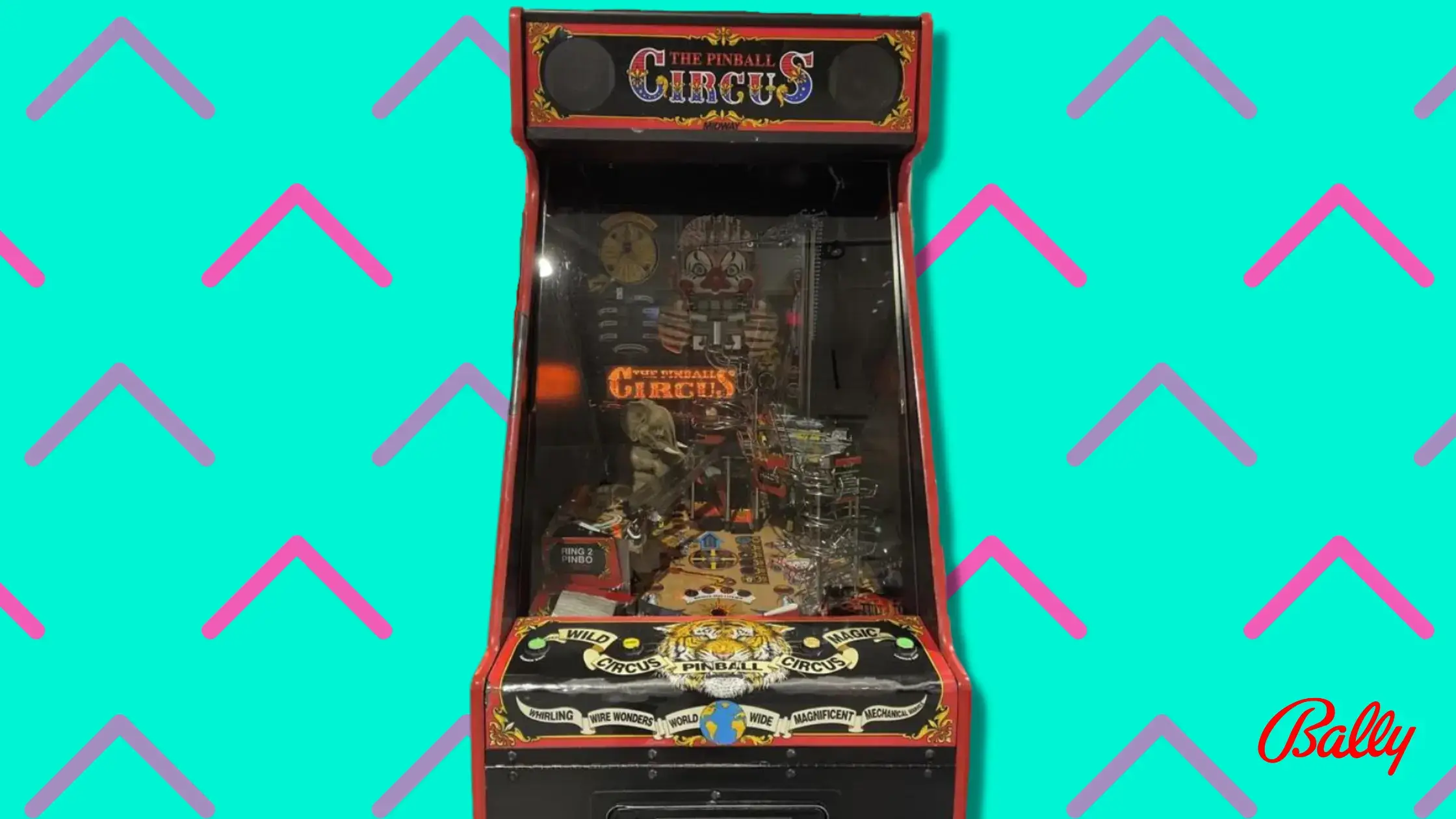 Pinball Circus