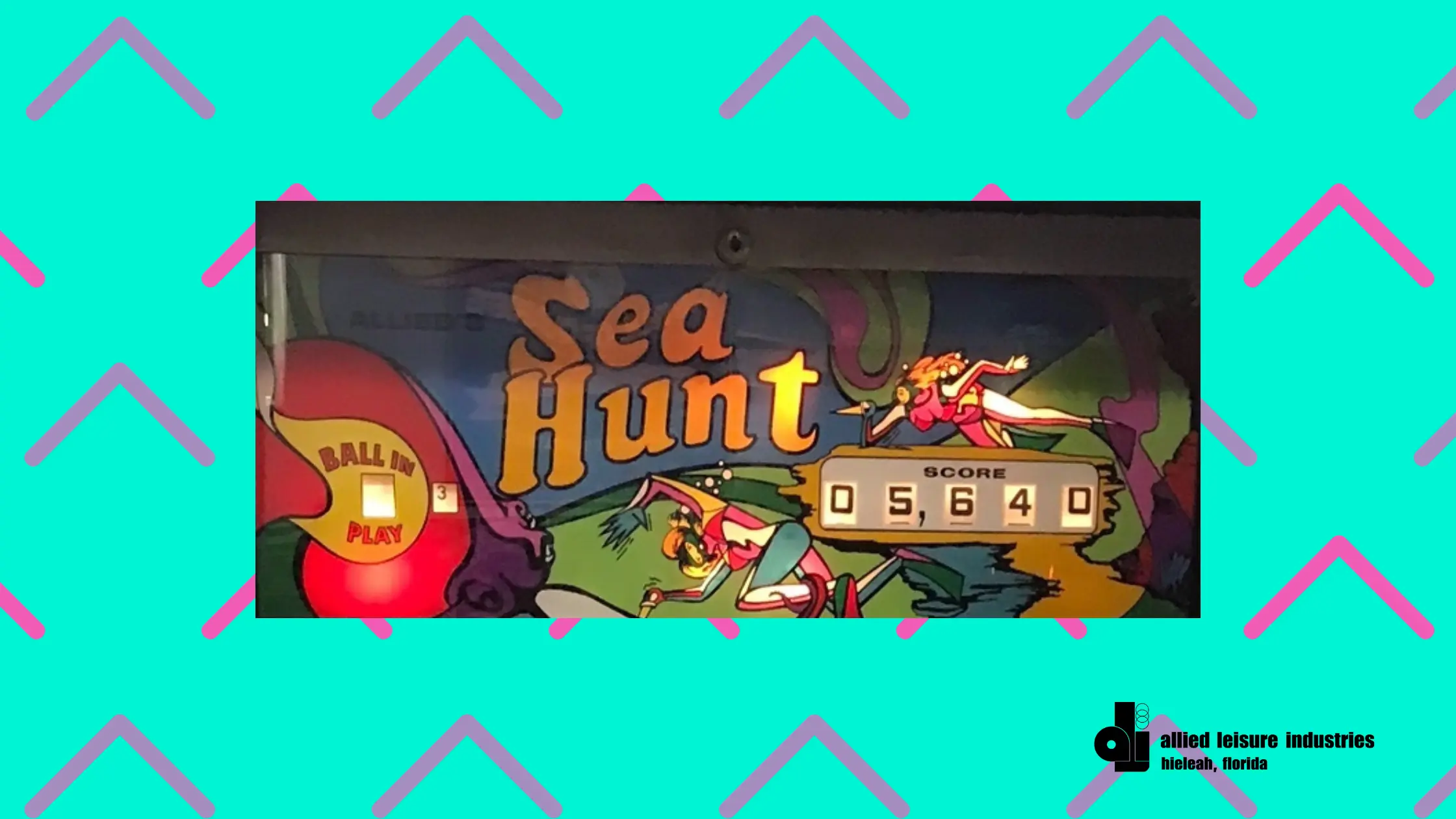 Sea Hunt