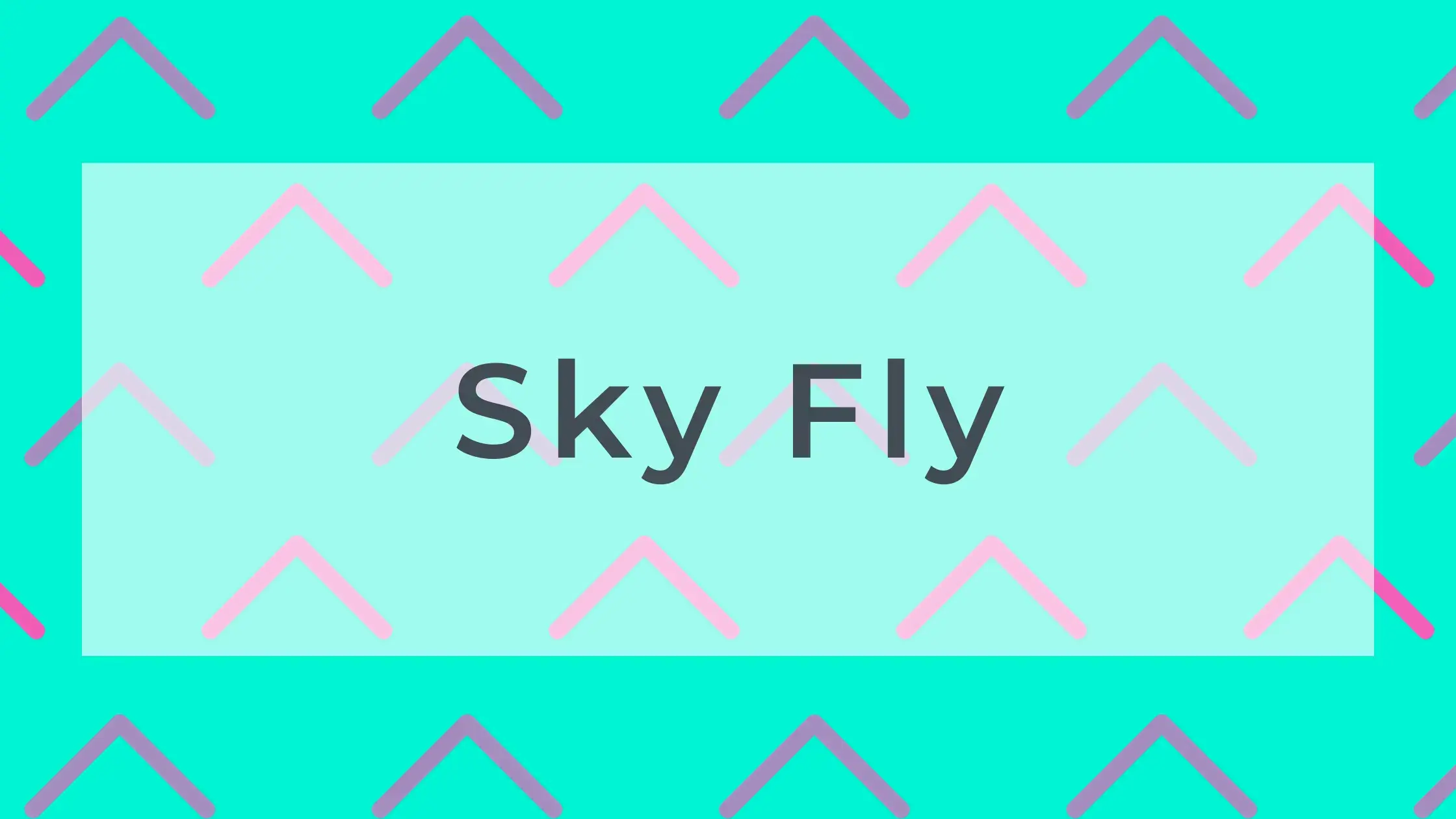 Sky Fly