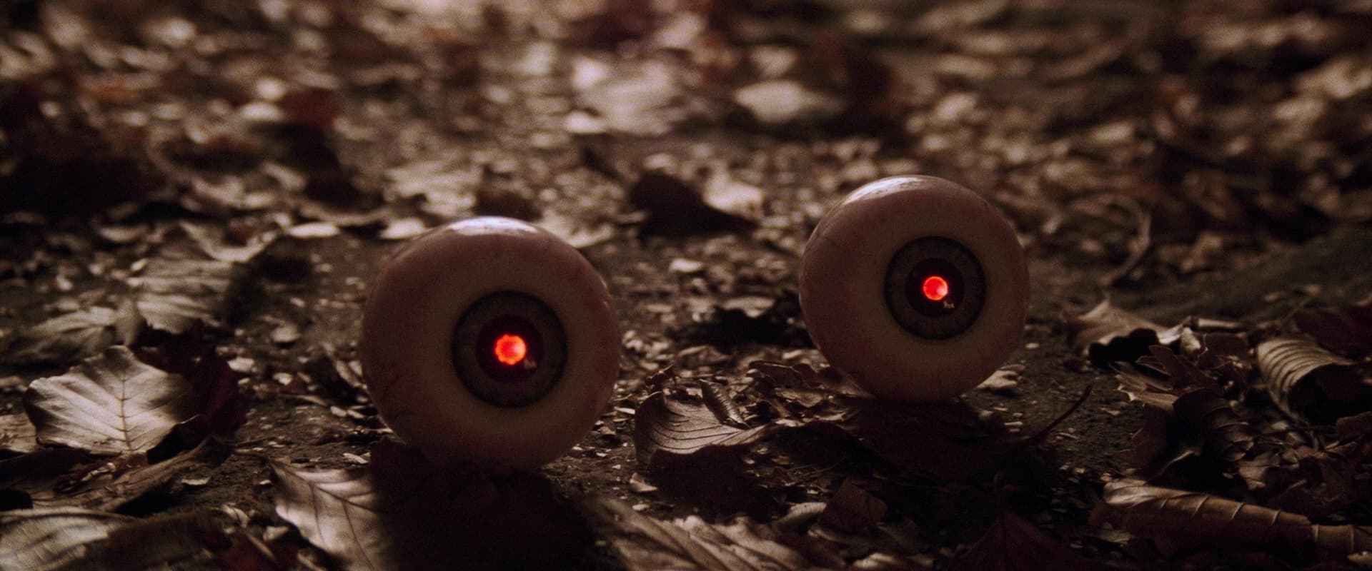 Two robotic eyes with red pupils resting on a ground of fallen leaves