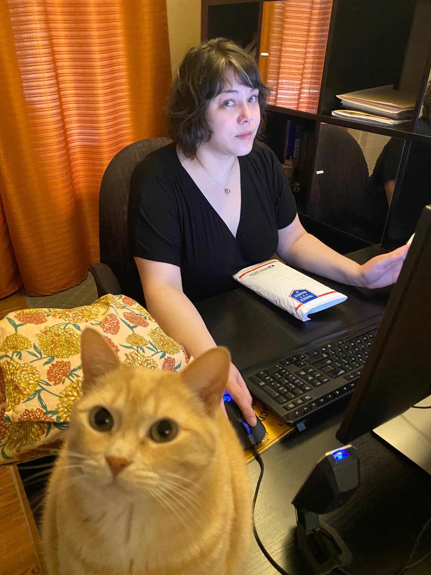 Orange cat sitting near person working on laptop at home desk